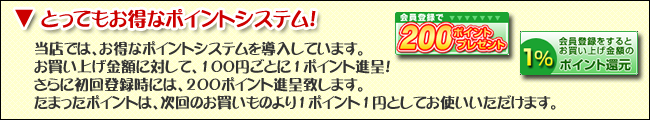 おざきのひものネットショップでは、とってもお得なポイントシステムを導入しています。お買上げ金額に対して、100円ごとに１ポイント進呈！さらに初回登録時には、２００ポイント進呈しています。溜まったポイントは次回のお買い物より１ポイント１円としてお使いいただけます。