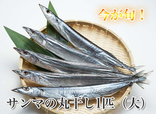 人気商品!さんまの丸干し・サンマの丸干し 今が旬!