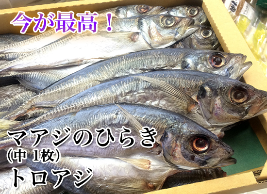 今が最高！マアジの開き 大　別名トロアジ　販売中！