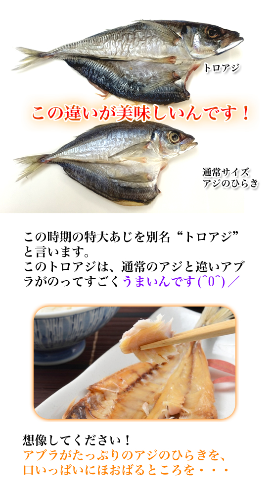 （トロアジ）　【あじ】【鯵】【アジ】【ひらき】【脂ののった】【ご飯にピッタリ】【トロアジ】【マアジ】　マアジのひらき　大1枚