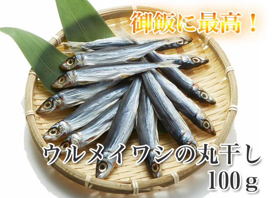 ウルメイワシの丸干し 大 100ｇ イワシの干物